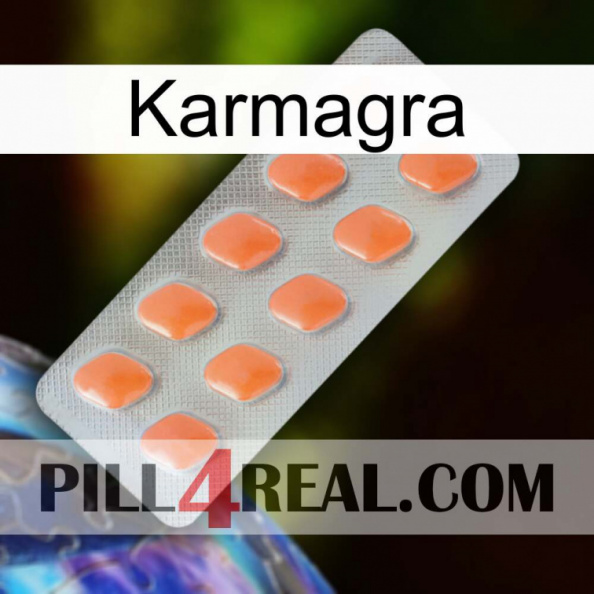 Karmagra 26.jpg